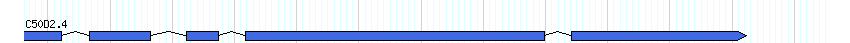 genes detail