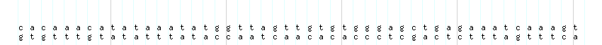 DNA/GC_Content detail