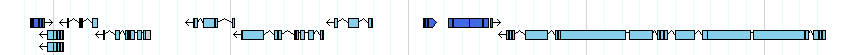 genes detail