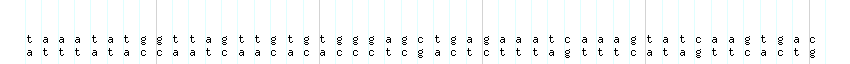 DNA/GC_Content detail