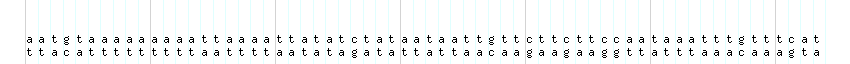 DNA/GC_Content detail