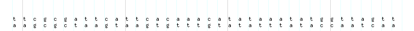 DNA/GC_Content detail