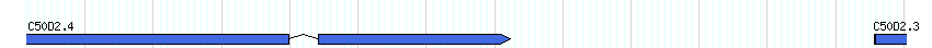 genes detail
