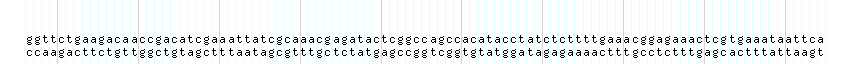 DNA/GC_Content detail