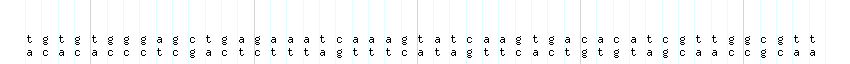 DNA/GC_Content detail