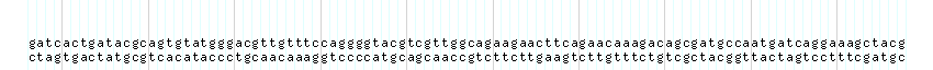 DNA/GC_Content detail
