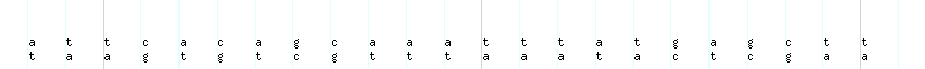 DNA/GC_Content detail