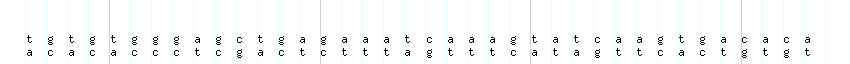 DNA/GC_Content detail