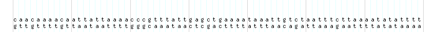 DNA/GC_Content detail