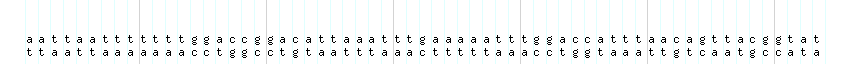 DNA/GC_Content detail