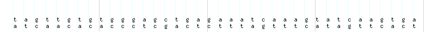 DNA/GC_Content detail