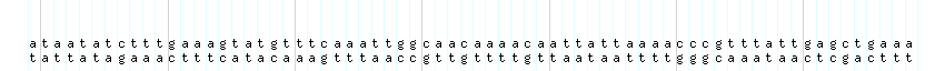 DNA/GC_Content detail