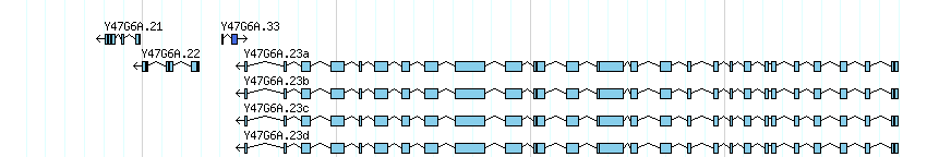 genes detail