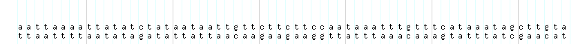 DNA/GC_Content detail