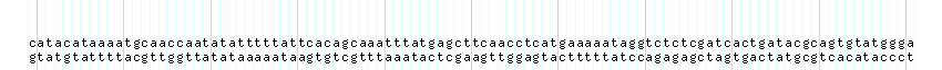 DNA/GC_Content detail