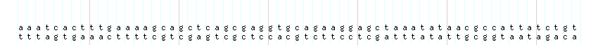 DNA/GC_Content detail