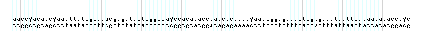 DNA/GC_Content detail