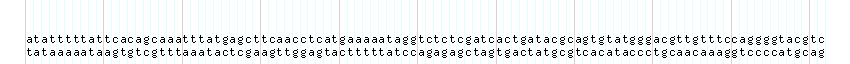 DNA/GC_Content detail