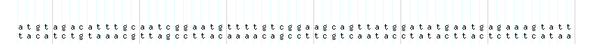 DNA/GC_Content detail