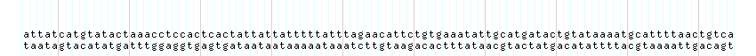 DNA/GC_Content detail