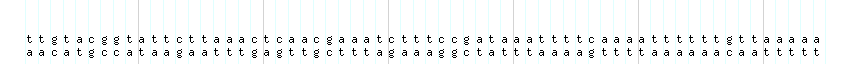 DNA/GC_Content detail