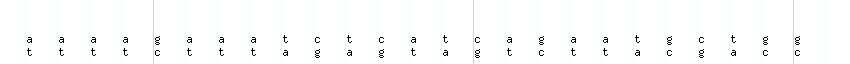 DNA/GC_Content detail