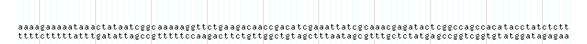 DNA/GC_Content detail