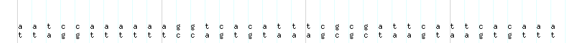 DNA/GC_Content detail