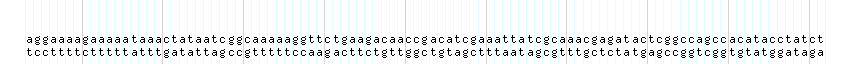 DNA/GC_Content detail