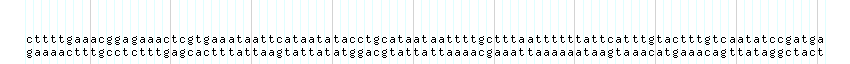 DNA/GC_Content detail