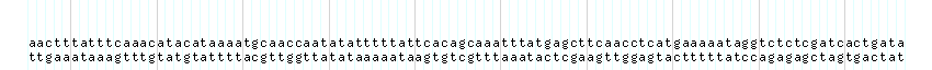 DNA/GC_Content detail