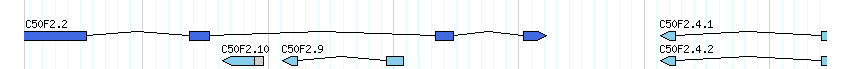 genes detail