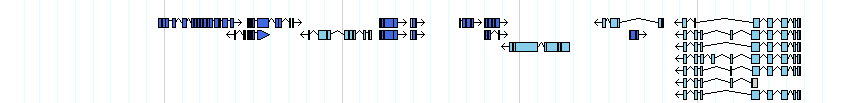 genes detail