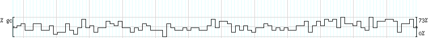 DNA/GC_Content detail