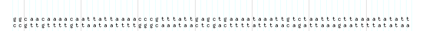 DNA/GC_Content detail