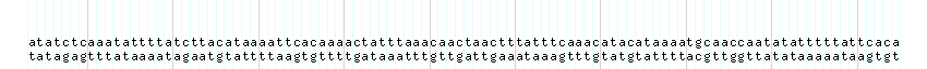 DNA/GC_Content detail