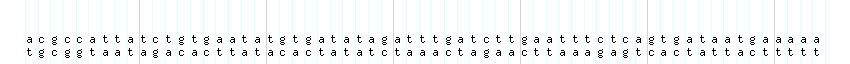 DNA/GC_Content detail