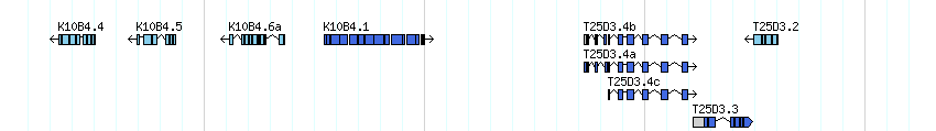 genes detail