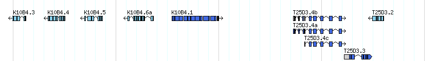 genes detail