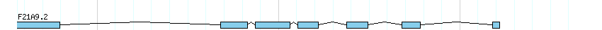 genes detail