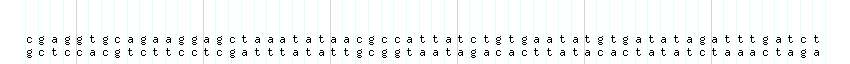 DNA/GC_Content detail
