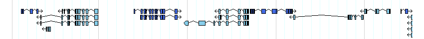 genes detail