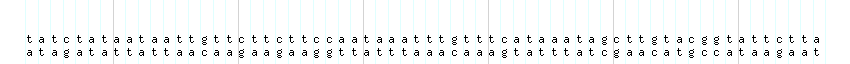DNA/GC_Content detail