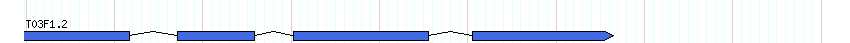 genes detail