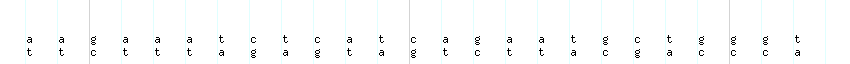 DNA/GC_Content detail
