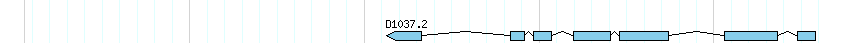 genes detail