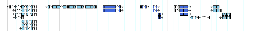 genes detail