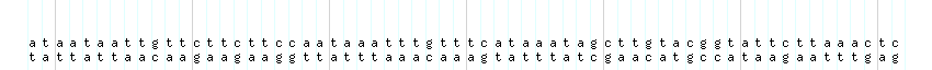 DNA/GC_Content detail