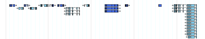 genes detail