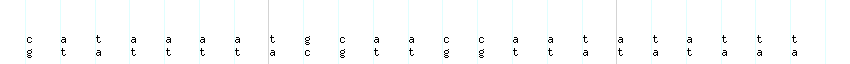 DNA/GC_Content detail